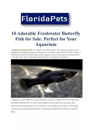 10 Adorable Freshwater Butterfly Fish for Sale: Perfect for Your Aquarium
