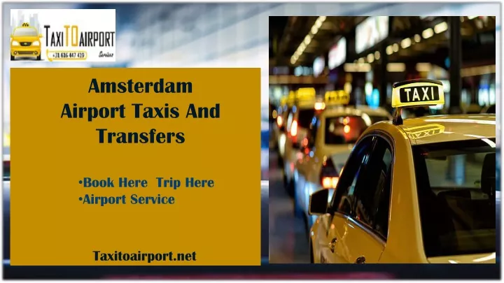 amsterdam airport taxis and transfers