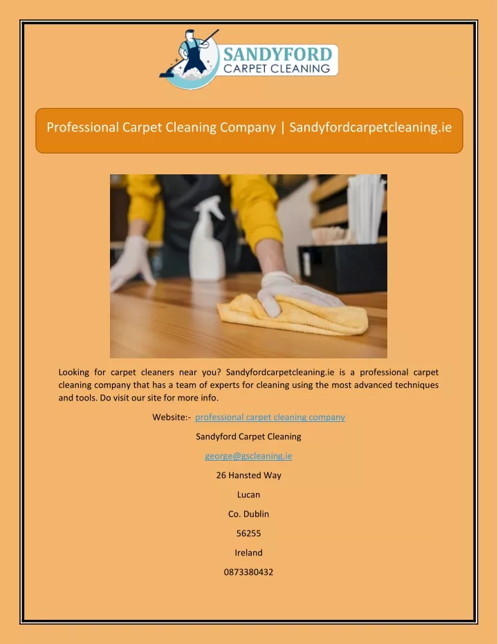 professional carpet cleaning company