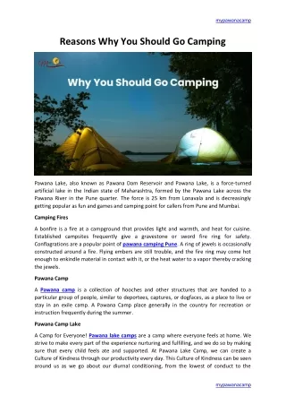 Reasons Why You Should Go Camping