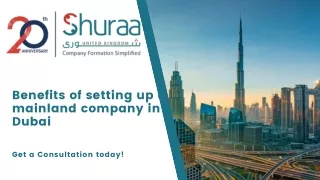 benefits of setting up a mainland company in dubai