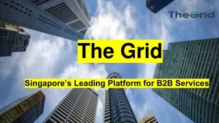 Singapore’s Leading Platform for B2B Services : The Grid