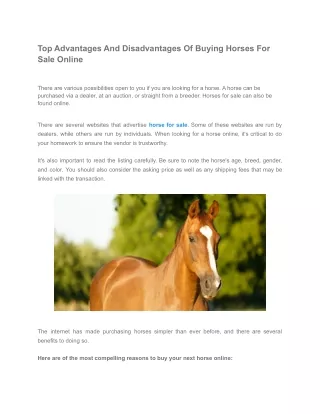 Top Advantages And Disadvantages Of Buying Horses For Sale Online