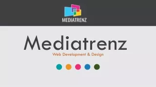 Mediatrenz - A Professional SEO and Web Development Agency India