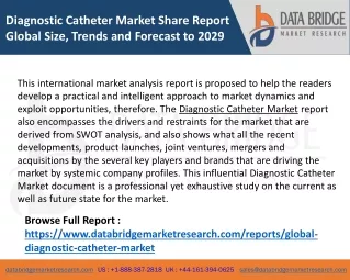 Diagnostic Catheter Market Share Report Global Size, Trends and Forecast to 2029