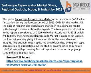 Endoscope Reprocessing Market Share, Regional Outlook, Scope, & Insight by 2029