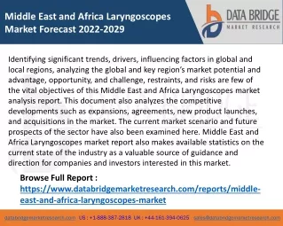 Middle East and Africa Laryngoscopes Market Forecast 2022-2029