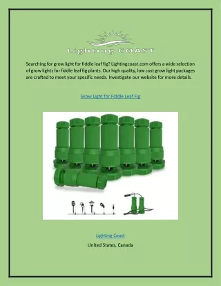Grow Light for Fiddle Leaf Fig  Lightingcoast.com