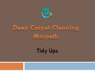 Deep Carpet Cleaning Morpeth