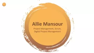 Allie Mansour - A Motivated and Organized Professional