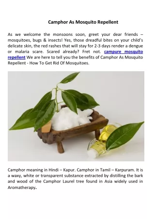 camphor as mosquito repellent