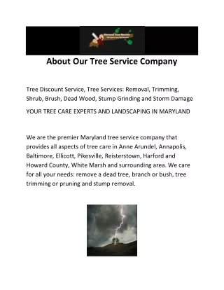 Tree Discount Service (1)