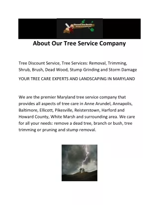 about our tree service company