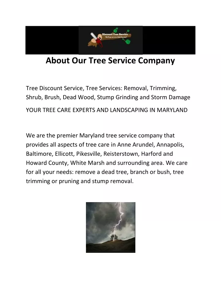 about our tree service company