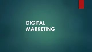 Digital marketing course in rohtak