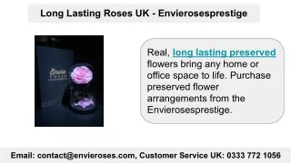 Long Lasting Roses UK - Envierosesprestige