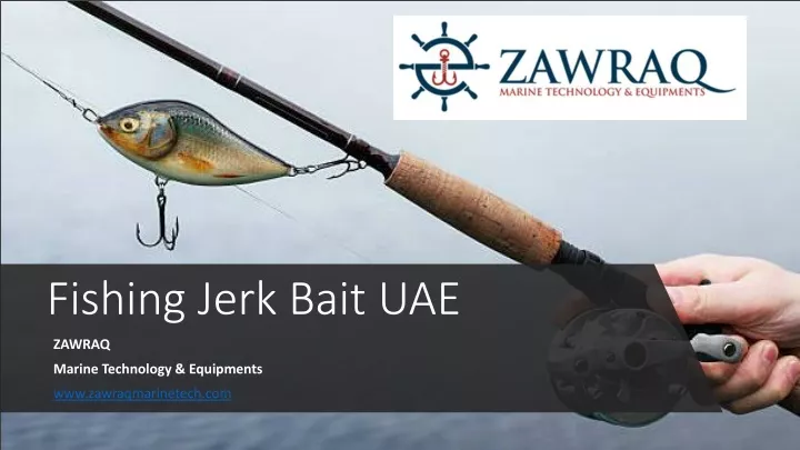 fishing jerk bait uae