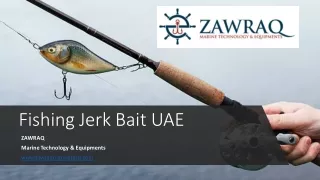 Fishing Jerk Bait UAE​