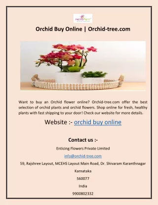Orchid Buy Online  Orchid-tree