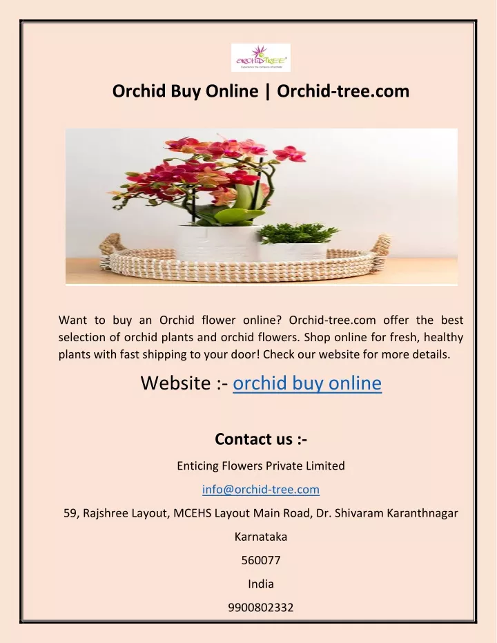 orchid buy online orchid tree com