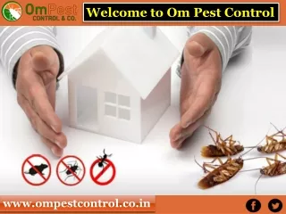 Get Pest Control Services Prices at OM Pest Control
