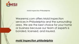 mold inspection philadelphia