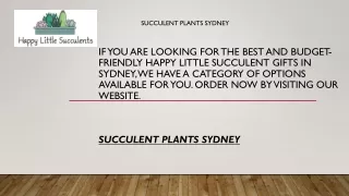 Succulent Plants Sydney  Happylittlesucculents.com.au