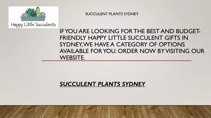 succulent plants sydney