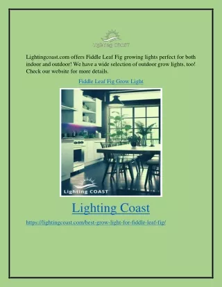 Fiddle Leaf Fig Grow Light Lightingcoast.com