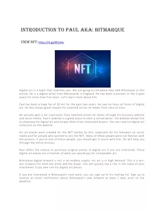 introduction to paul aka bitmarque