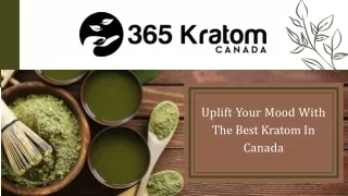 365 Kratom Canada | Buy Traditional Green Kratom Uplift Online