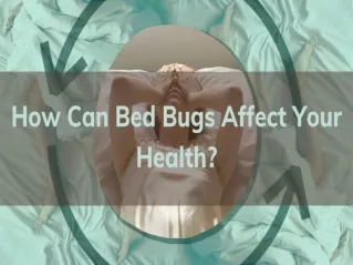 How Can Bed Bugs Affect Your Health?
