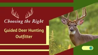 Ultimate Hunting Experience for Youth Hunts