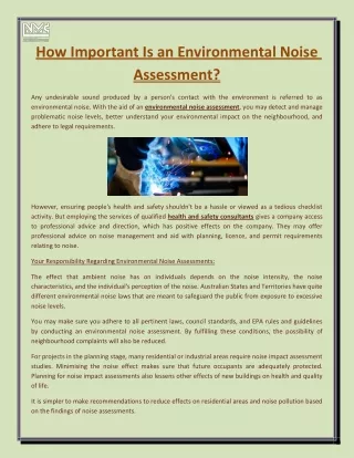 how important is an environmental noise assessment