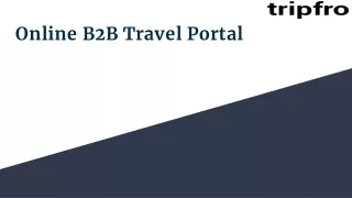 online b2b travel portal