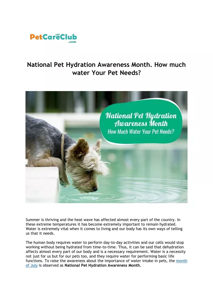 national pet hydration awareness month how much