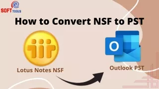 How to Convert NSF to PST?