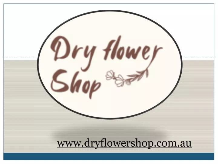 www dryflowershop com au