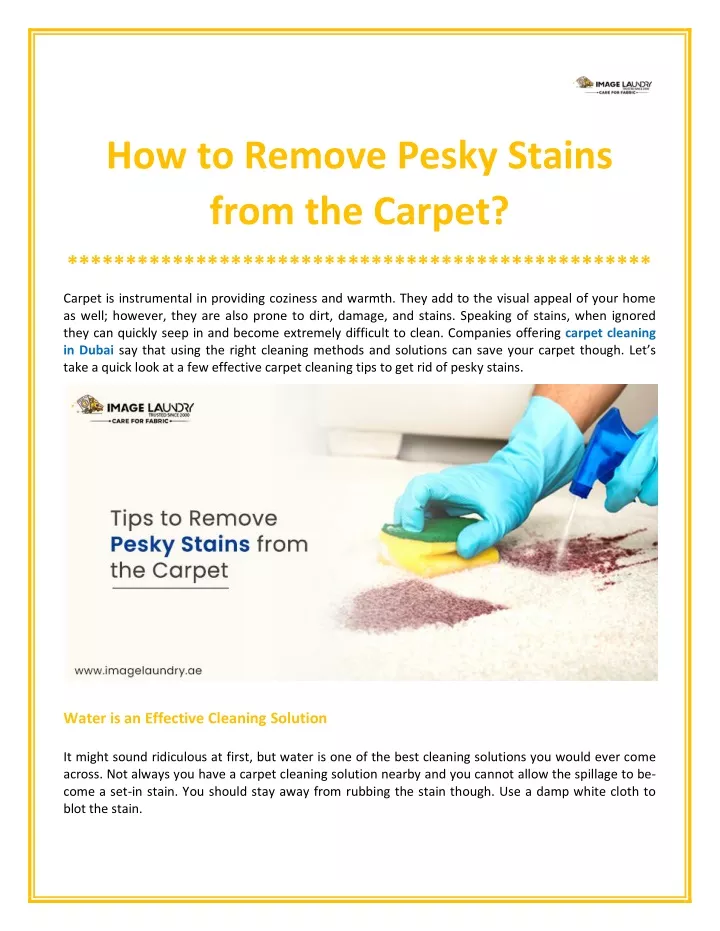 how to remove pesky stains from the carpet