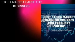 Stock Market Courses For Beginners