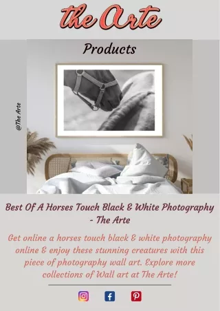 Best Of A Horses Touch Black & White Photography - The Arte