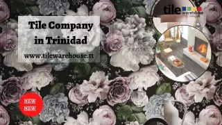 tile company in trinidad www tilewarehouse tt
