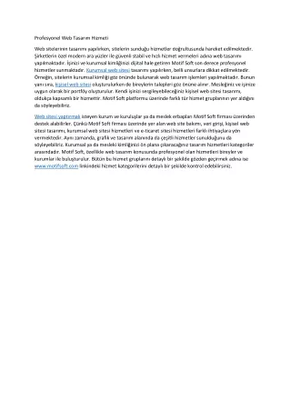 profesyonel web tasar m hizmeti