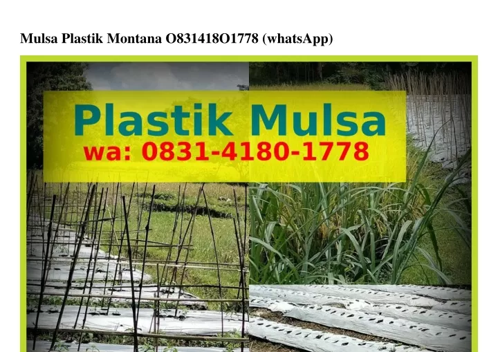 mulsa plastik montana o831418o1778 whatsapp