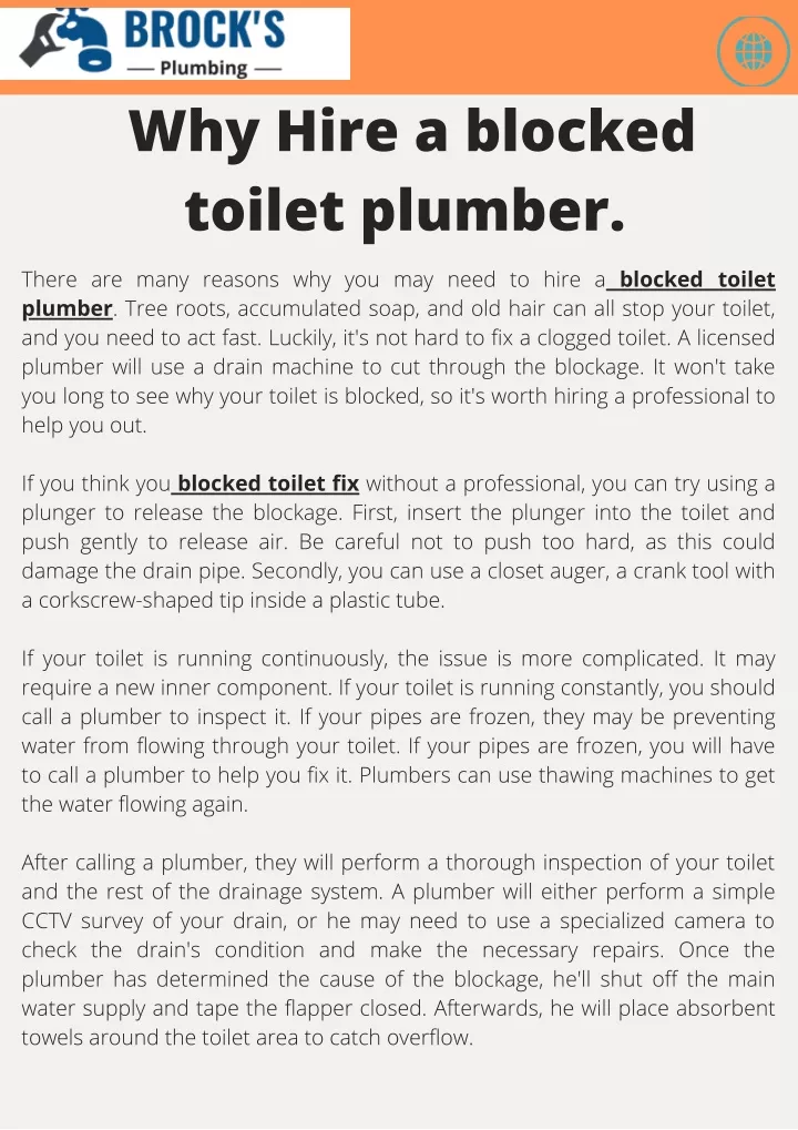 why hire a blocked toilet plumber