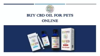 Buy CBD Oil For Pets Online | Flower of Life CBD