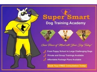 Super Smart Dog Training Academy