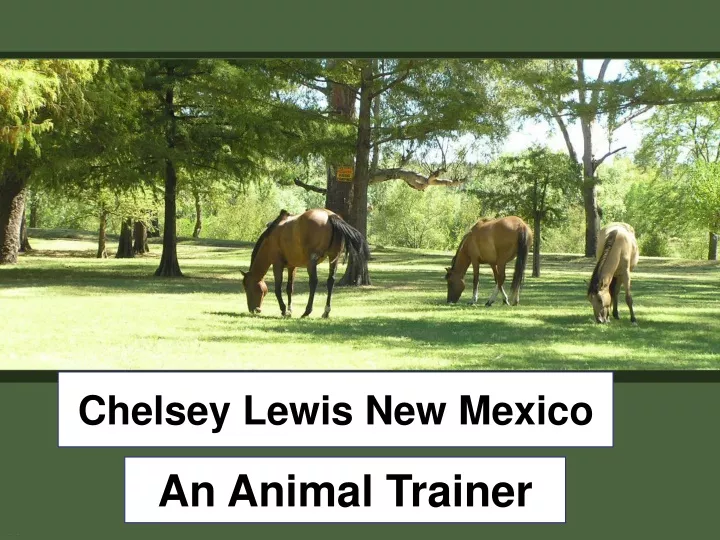 chelsey lewis new mexico