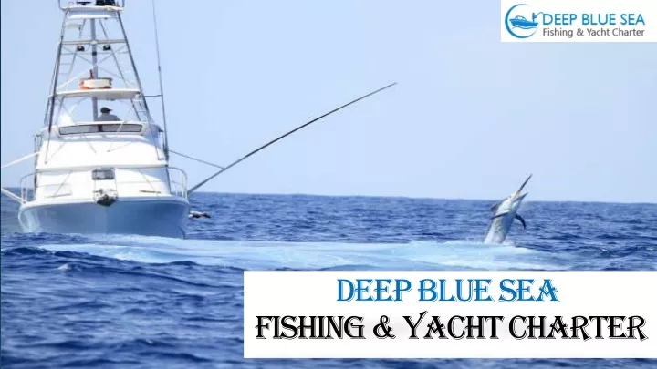 deep blue sea fishing yacht charter