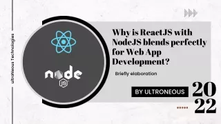 why is reactjs with nodejs blends perfectly
